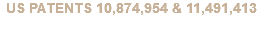 US PATENTS 10,874,954 & 11,491,413