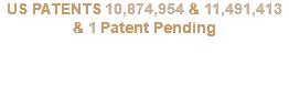 US PATENTS 10,874,954 & 11,491,413 & 1 Patent Pending 